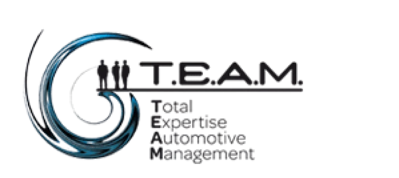 Logo de TEAM, représentant la gestion automobile experte.